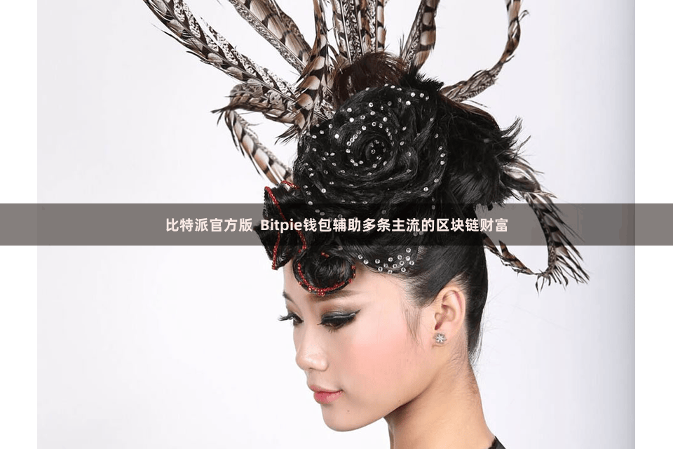 比特派官方版 Bitpie钱包辅助多条主流的区块链财富
