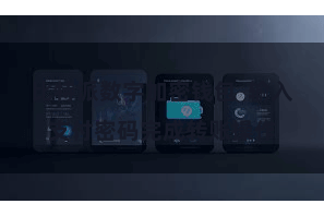 比特派数字加密钱包 输入支付密码完成转账操作