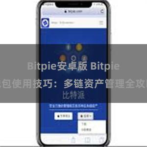 Bitpie安卓版 Bitpie钱包使用技巧：多链资产管理全攻略