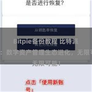 Bitpie备份教程 比特派钱包：数字资产管理生态进化，无限可能！