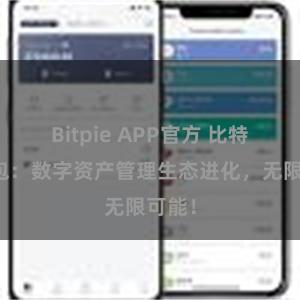 Bitpie APP官方 比特派钱包：数字资产管理生态进化，无限可能！