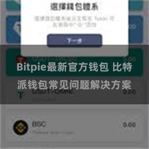 Bitpie最新官方钱包 比特派钱包常见问题解决方案