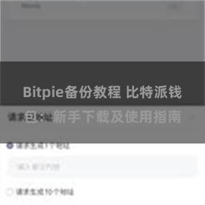 Bitpie备份教程 比特派钱包：新手下载及使用指南