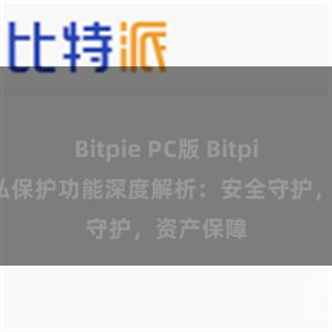 Bitpie PC版 Bitpie钱包隐私保护功能深度解析：安全守护，资产保障