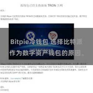 Bitpie冷钱包 选择比特派作为数字资产钱包的原因。