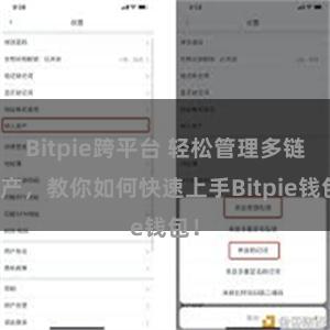 Bitpie跨平台 轻松管理多链资产，教你如何快速上手Bitpie钱包！