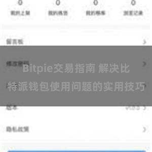 Bitpie交易指南 解决比特派钱包使用问题的实用技巧