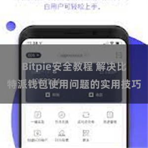 Bitpie安全教程 解决比特派钱包使用问题的实用技巧