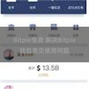 Bitpie免费 解决Bitpie钱包常见使用问题