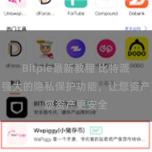 Bitpie最新教程 比特派钱包：强大的隐私保护功能，让您资产更安全