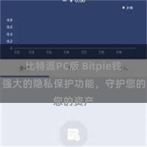 比特派PC版 Bitpie钱包：强大的隐私保护功能，守护您的资产