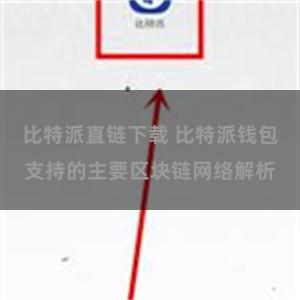 比特派直链下载 比特派钱包支持的主要区块链网络解析