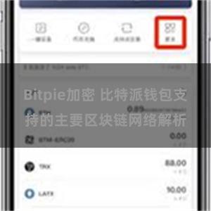 Bitpie加密 比特派钱包支持的主要区块链网络解析