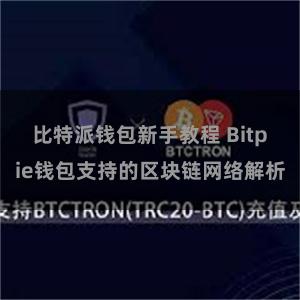 比特派钱包新手教程 Bitpie钱包支持的区块链网络解析