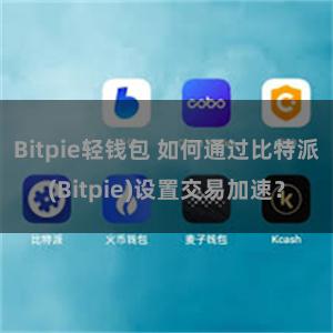 Bitpie轻钱包 如何通过比特派(Bitpie)设置交易加速？