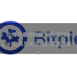 比特派备份教程 比特派(Bitpie)交易历史记录在哪里查看？