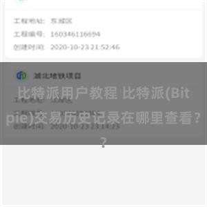 比特派用户教程 比特派(Bitpie)交易历史记录在哪里查看？