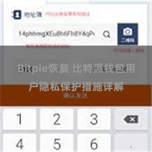 Bitpie恢复 比特派钱包用户隐私保护措施详解