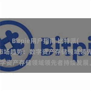 Bitpie用户指南 比特派(Bitpie)钱包市场趋势：数字资产存储领域领先者持续发展。